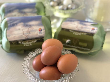 Local Free Range Eggs (6) - Turnbull's Northumbrian Food